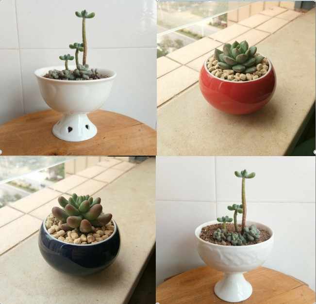 ブラック 7 5号 おしゃれ アンティーク調 グレー プランター レトロ 多肉植物 植木鉢 盆栽 花 観葉植物 鉢植え 高級感 黒 超安い品質 プランター