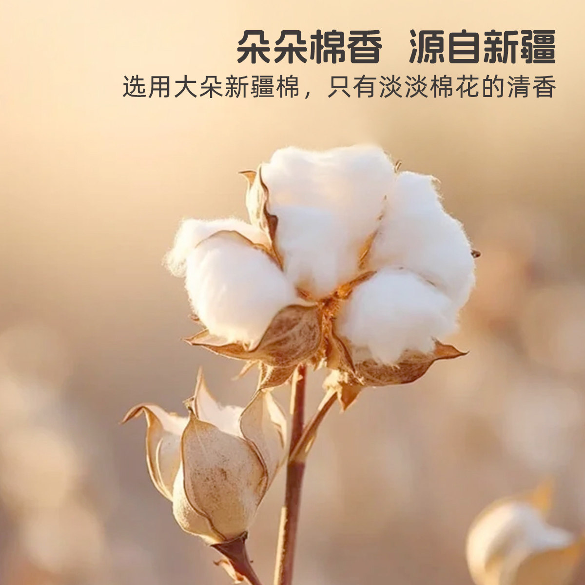 水星儿童新疆棉花被子被芯婴幼儿A类抗菌春秋被宿舍学生单人冬被,淘宝优惠券,粉丝福利购,淘宝优惠卷