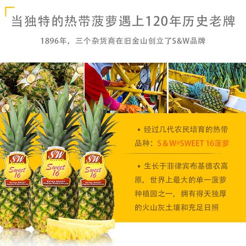 SW菠萝片罐头836g菲律宾进口糖水圆片凤梨水果甜品 披萨汉堡原料 - 图1
