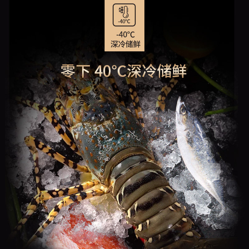 美菱bc / bd-536dte卧式 安徽美菱冷柜