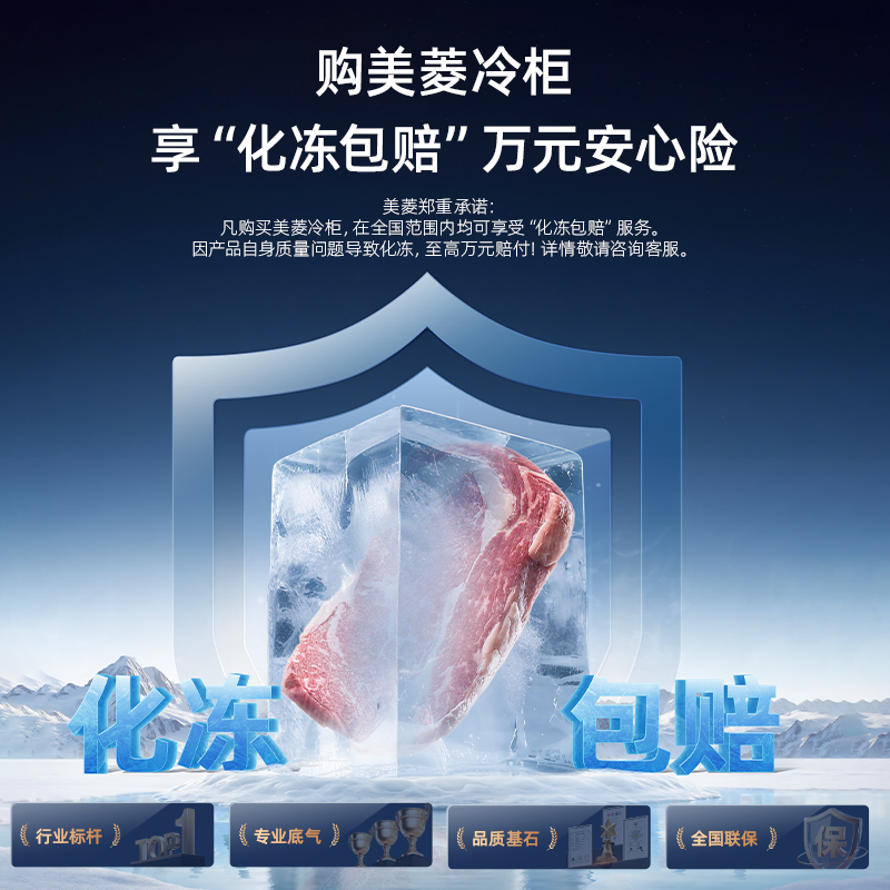 美菱301L家用商用大容量冷冻冷藏两用冰柜单温节能政府补贴20%