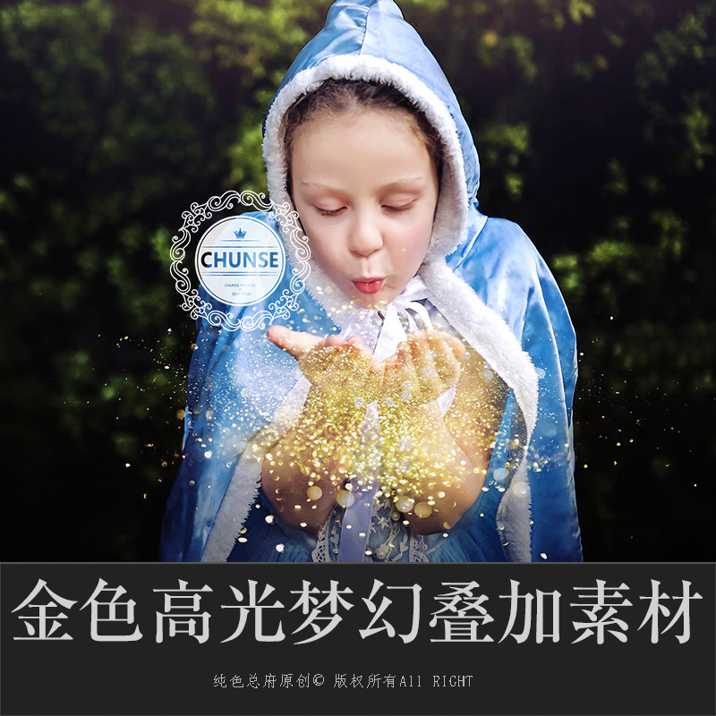 金色高光金粉儿童艺术人像写真梦幻化妆修图特效合成ps素材x17 领券立减元到手价8 69元0人已购买