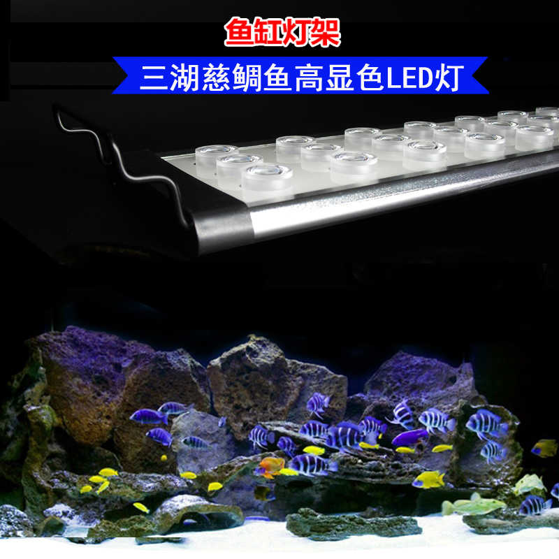 Led海水灯 新人首单立减十元 21年8月 淘宝海外
