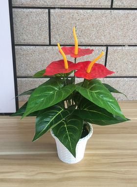 sai冠工艺源仿真绿植红掌小摆件