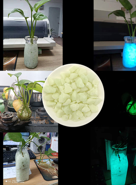 景观夜光石头发光石荧光碎石子花盆跑道装饰鱼缸水簇造景星空摆件