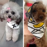 Хлопковый шарф, слюнявчик, 2 шт