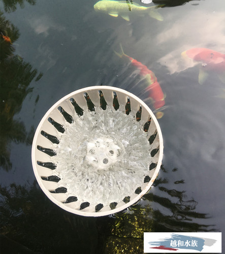 鱼池过滤式水面排水口面吸阻挡饲料落叶防锦鲤浮动式过滤面水口 - 图1