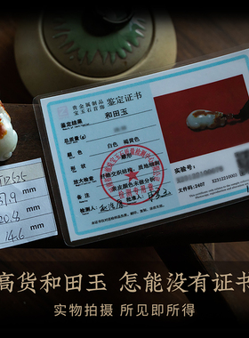 【孤品】和田玉·貔貅天然玉吊坠项链男七夕心意之礼挂坠一物一证