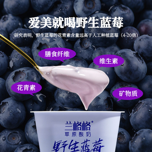 兰格格草原酸奶野生蓝莓味300g*2杯0蔗糖低温酸奶组合装 - 图2