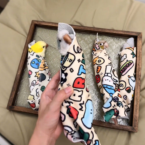 ”裹鸟布“鹦鹉互动玩具柔软亲肤防挣扎小鸟束缚袋小宠美容百贴布 - 图3