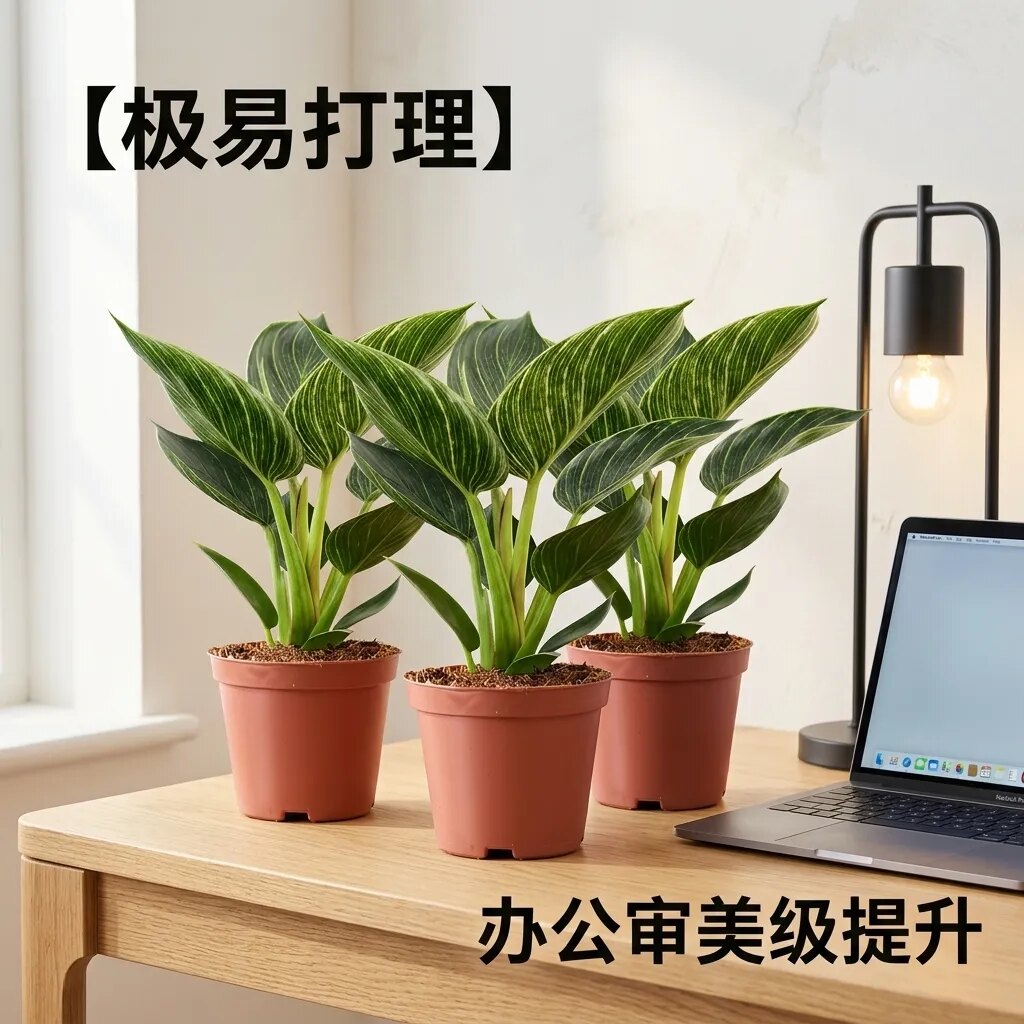 图4