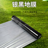 Super easy to use new material agricultural two-color silver and black mulch film