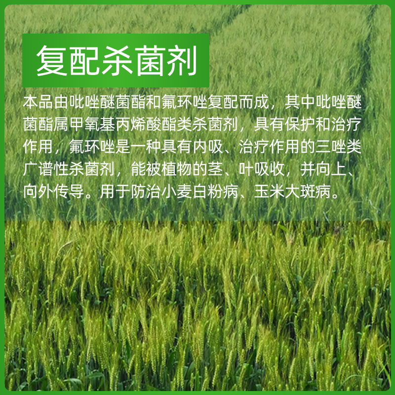 农用杀菌剂吡醚氟环唑白粉病锈病专用药小麦草莓多肉月季细菌农药 - 图0