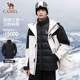 Camel jacket camel jacket camel jacket