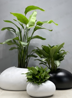 恐龙蛋造型石头花盆户外绿植花器