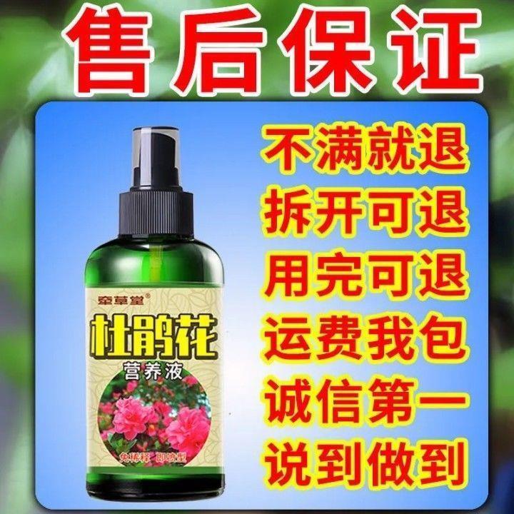 杜鹃花营养液叶子发黄干枯花苞掉落不开花萎靡专用免稀释液体肥 - 图1