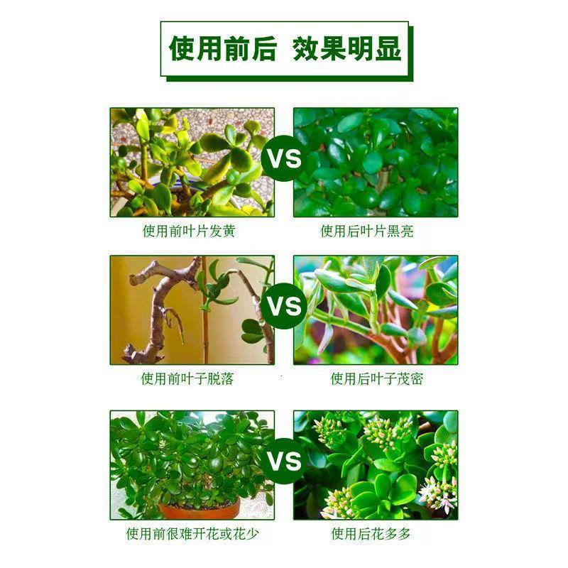 玉树专用肥花肥料绿叶营养液盆景盆栽复合肥有机肥家庭四季缓释肥-图3