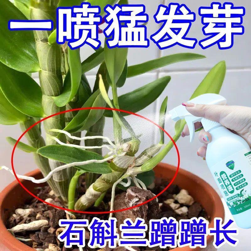 营养液养花专用通用石斛兰专用植物营养液催新芽治黄叶防软腐花肥-图3