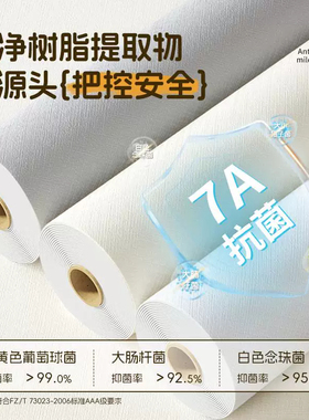 自粘防水防潮加厚不伤墙无味墙纸