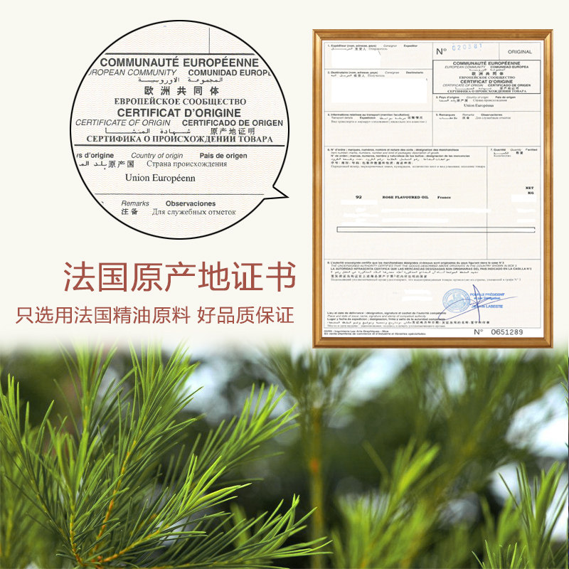 澳洲茶树10ml面部祛控油消菌茶树油 zrzr单方精油