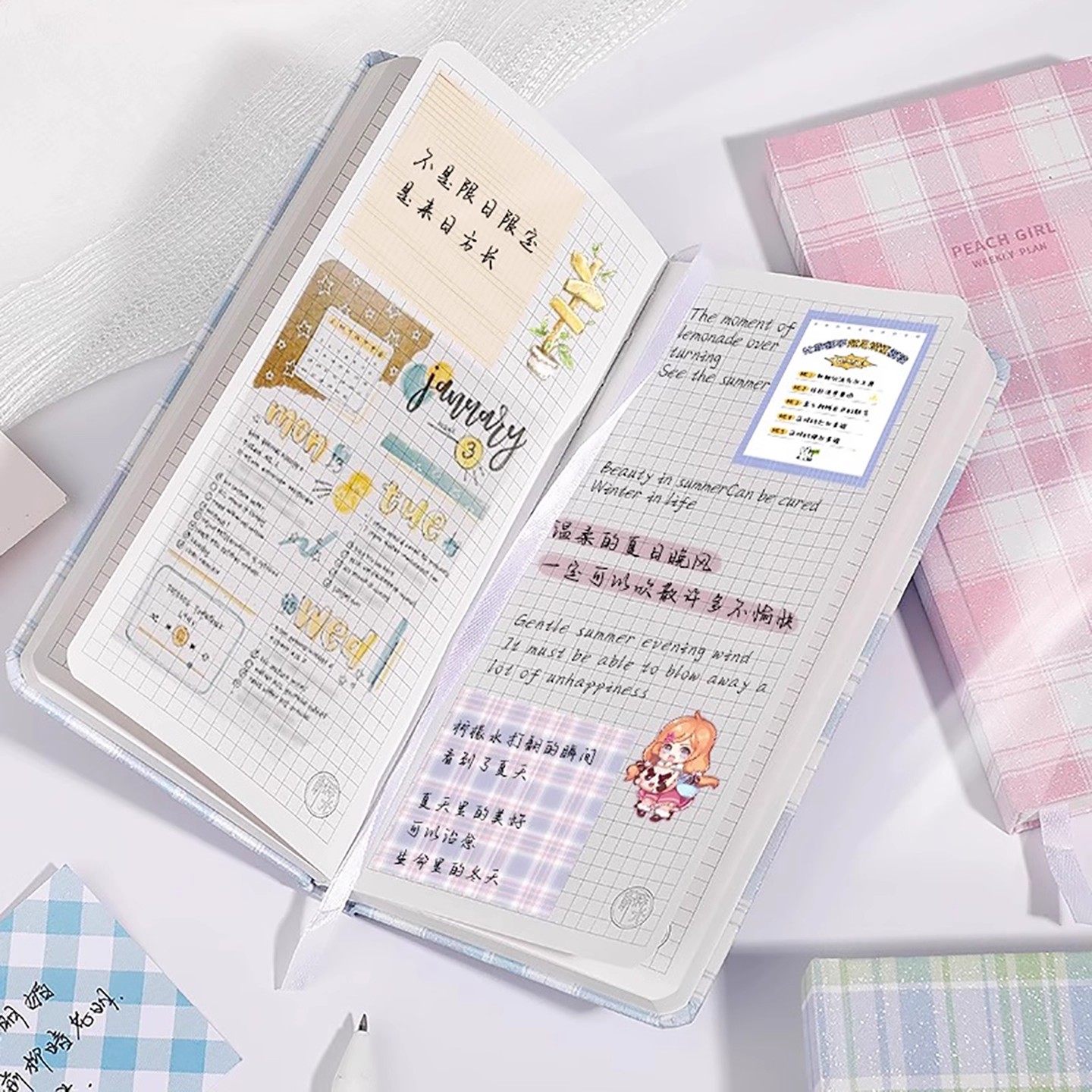 桃气乌龙格纹手帐本学生日程本计划本便携记事本复古风格ins风女,淘宝优惠券,粉丝福利购,淘宝优惠卷