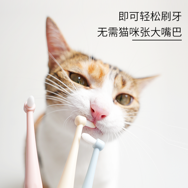 TALI它哩宠物猫牙刷猫专用正畸小牙刷尖头平头狗狗柔软牙结石牙膏 - 图1