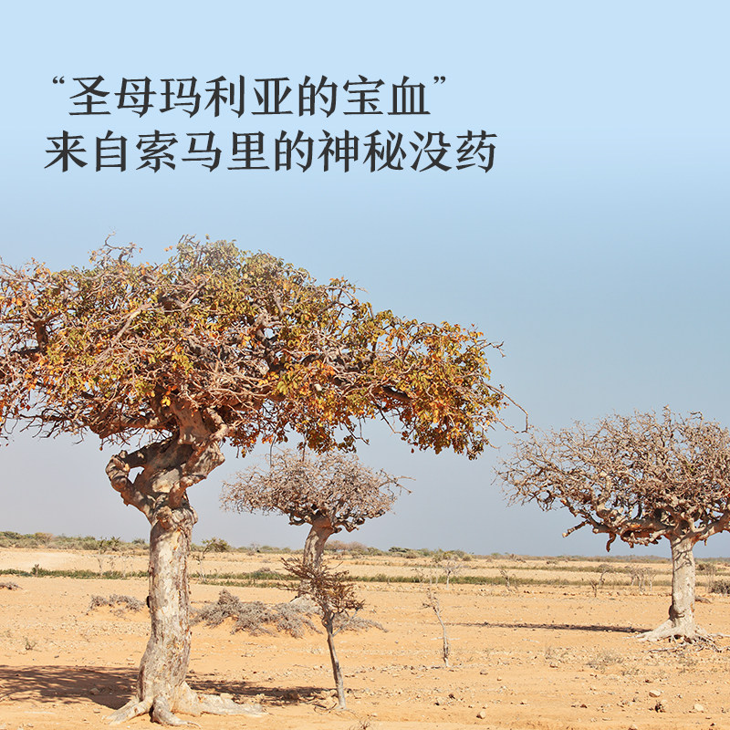 阿芙没药10ml单方植物油面部精油 阿芙单方精油