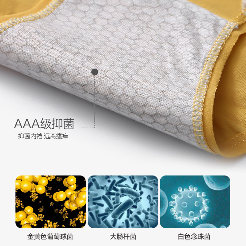 女士纯棉全棉裆抗菌冰丝款无痕内裤 北极绒宇泽女三角裤