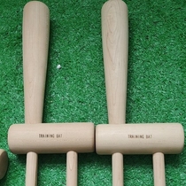 Play in a baseball practice action theorist