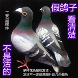Симуляция с большим голубей серые голубь квадратная пена. Материал Материал фальшивая птица Домашние украшения украшения не могут быть на открытом воздухе.