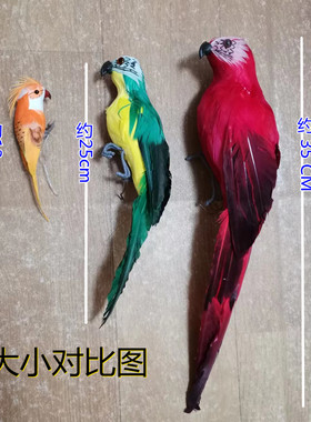 仿真贴毛大金刚彩色假鸟橱窗摆件