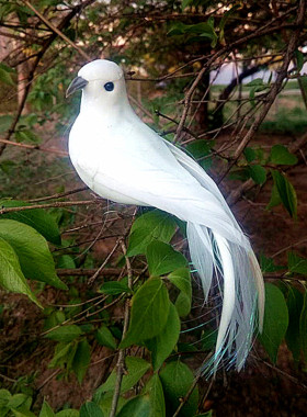 摆件道具仿真和平鸽价为一只