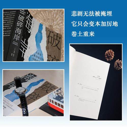 破碎海岸彼得·坦普 长篇小说澳大利亚现代小说书籍 - 图0