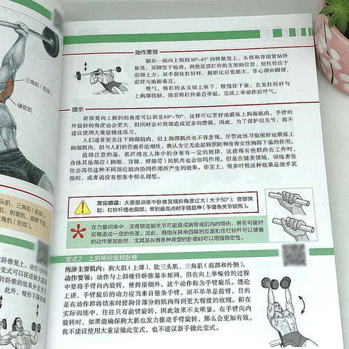 力量训练解剖全书 1000多幅解剖图+400多项肌肉练习+300多个配套视频 肌肉与力量的解剖学与认知及科学训练方案 北京科学技术出 - 图2