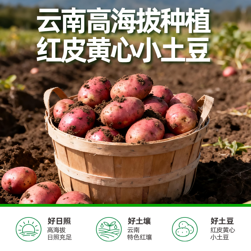 图5