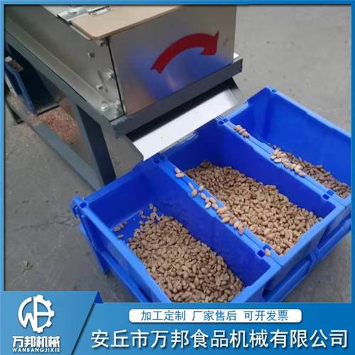 自动花生米脱皮机 白花生脱皮机 花生米红衣脱皮机 花生米去皮机 - 图0