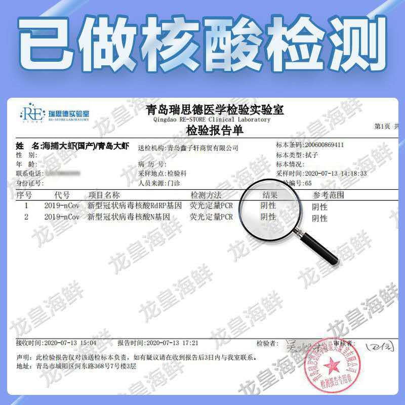 青岛大虾超大海虾鲜活冷冻白虾对虾大虾新鲜 - 图2