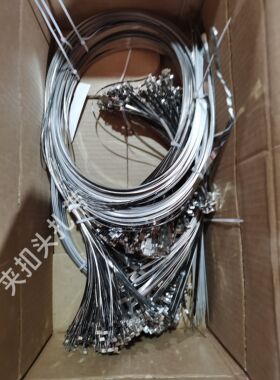 标牌扎带不绣钢铁皮杆号牌捆带子滚珠自扣锁线路挷扎带现货供应