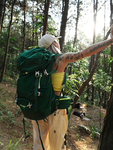 《自然复兴》户外徒步露营悬浮背负防水双肩背包50l大容量登山包 - 图0