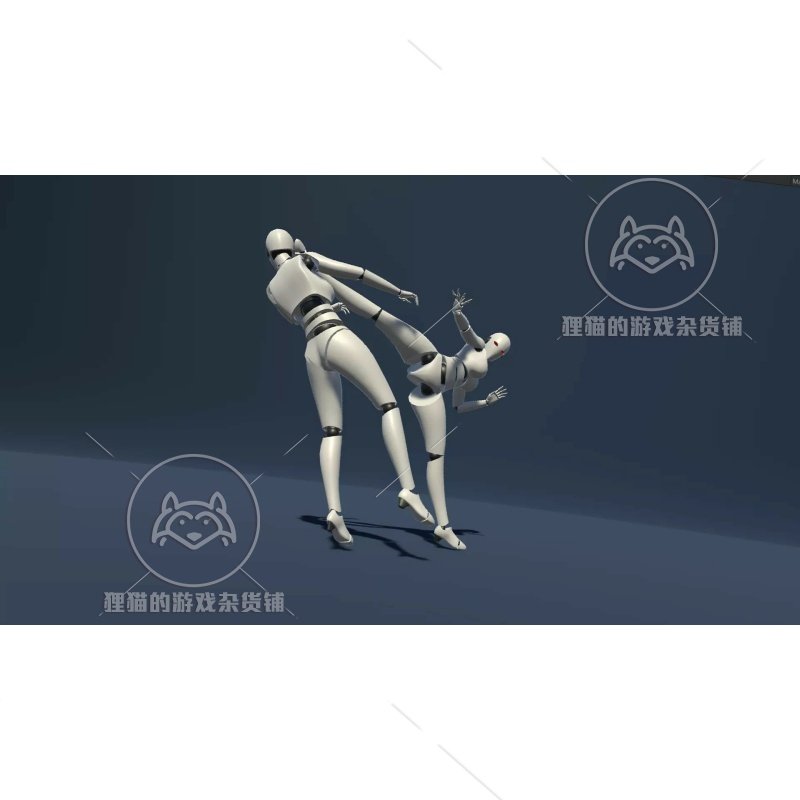 Unity Lucy 1.0 高质量女子武术格斗拳击对打对打动画包_虎窝淘