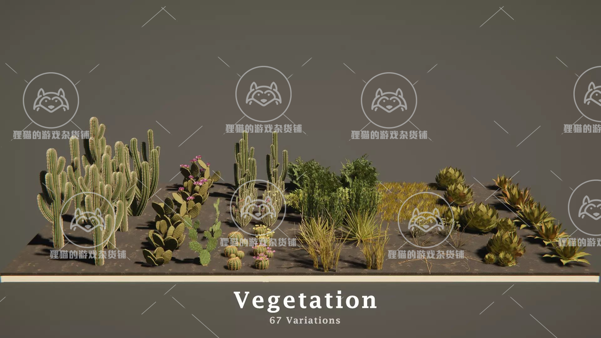 Unity Mexican Desert Vegetation 2.2包更新墨西哥沙漠植被-图0