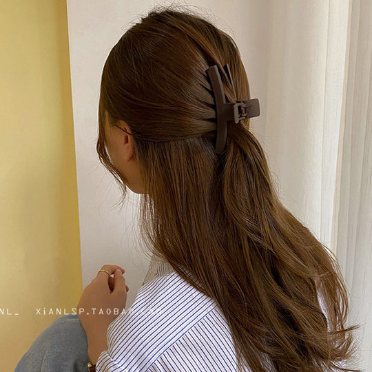 Koreanische Internet-Berühmtheit Morandi Farbe High-End-Haarnadel am Hinterkopf, Haarfänger, Haarnadel, großer Hai-Clip für Frauen