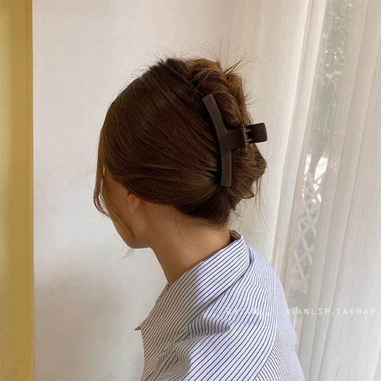 Koreanische Internet-Berühmtheit Morandi Farbe High-End-Haarnadel am Hinterkopf, Haarfänger, Haarnadel, großer Hai-Clip für Frauen