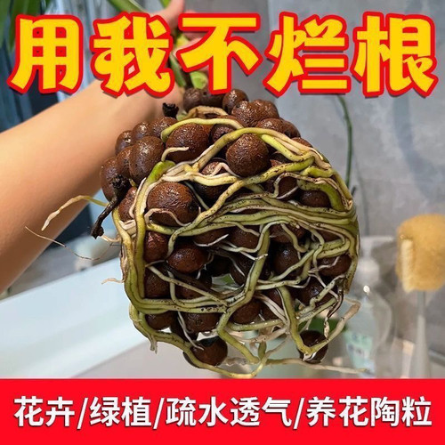 陶粒养花通用型花盆垫底园艺水培多肉专用花卉颗粒铺面特价批发 - 图1