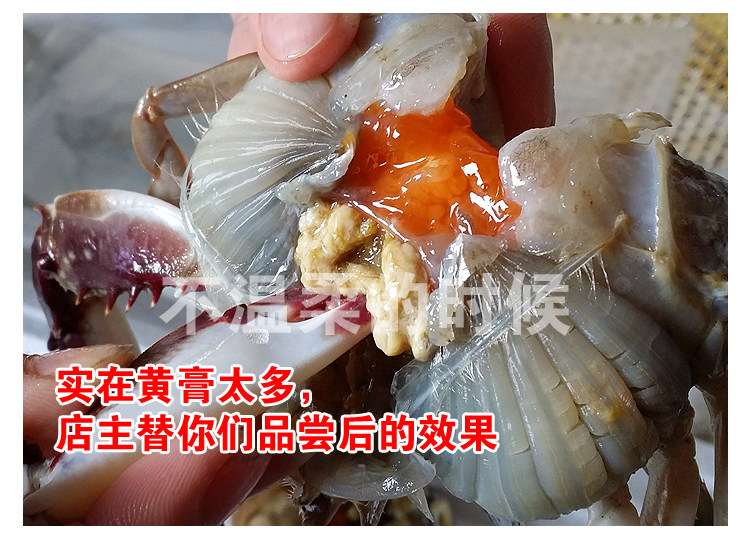 潍坊羊口咸蟹子酱蟹梭子蟹腌飞蟹生吃醉蟹呛蟹即食 莱州腌蟹咸蟹,淘宝优惠券,粉丝福利购,淘宝优惠卷