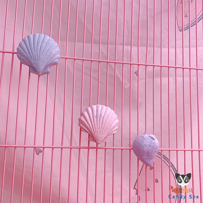 CandySea蜜袋鼯 松鼠 龙猫 贝壳矿物质加钙补钙磨牙石 鹦鹉磨嘴石,淘宝优惠券,粉丝福利购,淘宝优惠卷