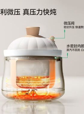 浦利顿微压款小电炖锅迷你BB煲煮粥宝宝辅食锅陶瓷燕窝炖盅家用