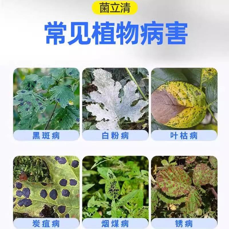 植物菌立清杀菌剂通用免稀释微生物菌剂盆栽绿植抑菌营养液花肥料-图1