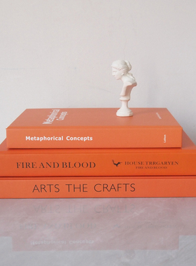 橙黄色样板间摆件装饰真书道具书