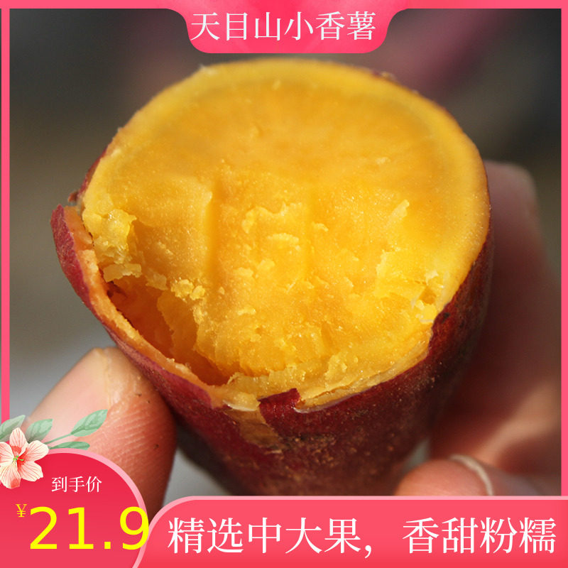 天目山小香薯5斤临安黄心小红薯 薯你棒番薯